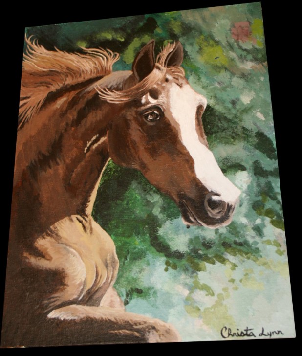 Christa's Canvas-Horse Large View